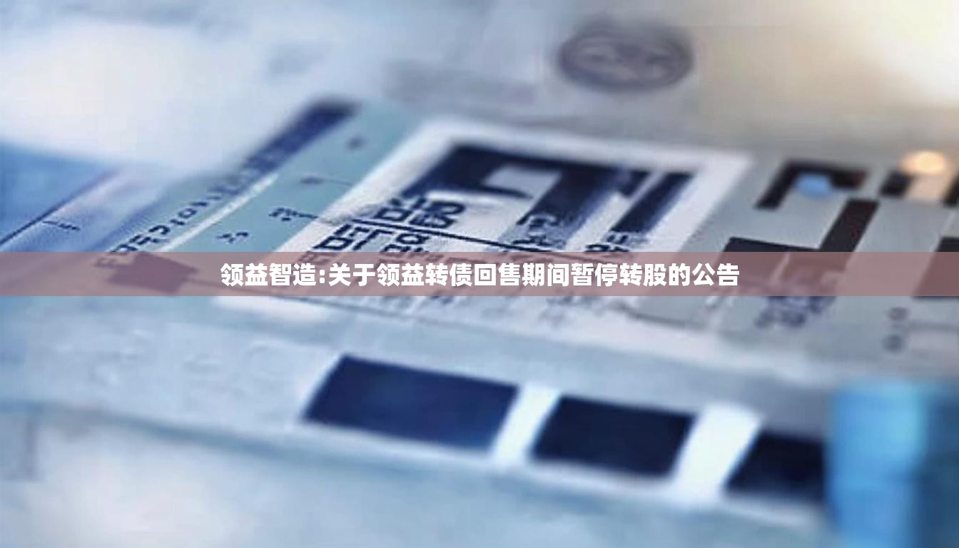 领益智造:关于领益转债回售期间暂停转股的公告